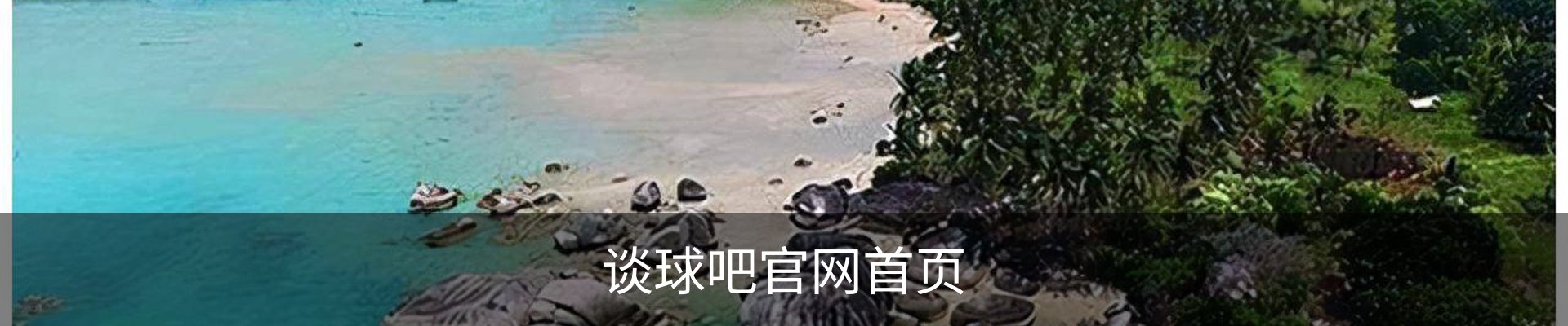 谈球吧官网首页